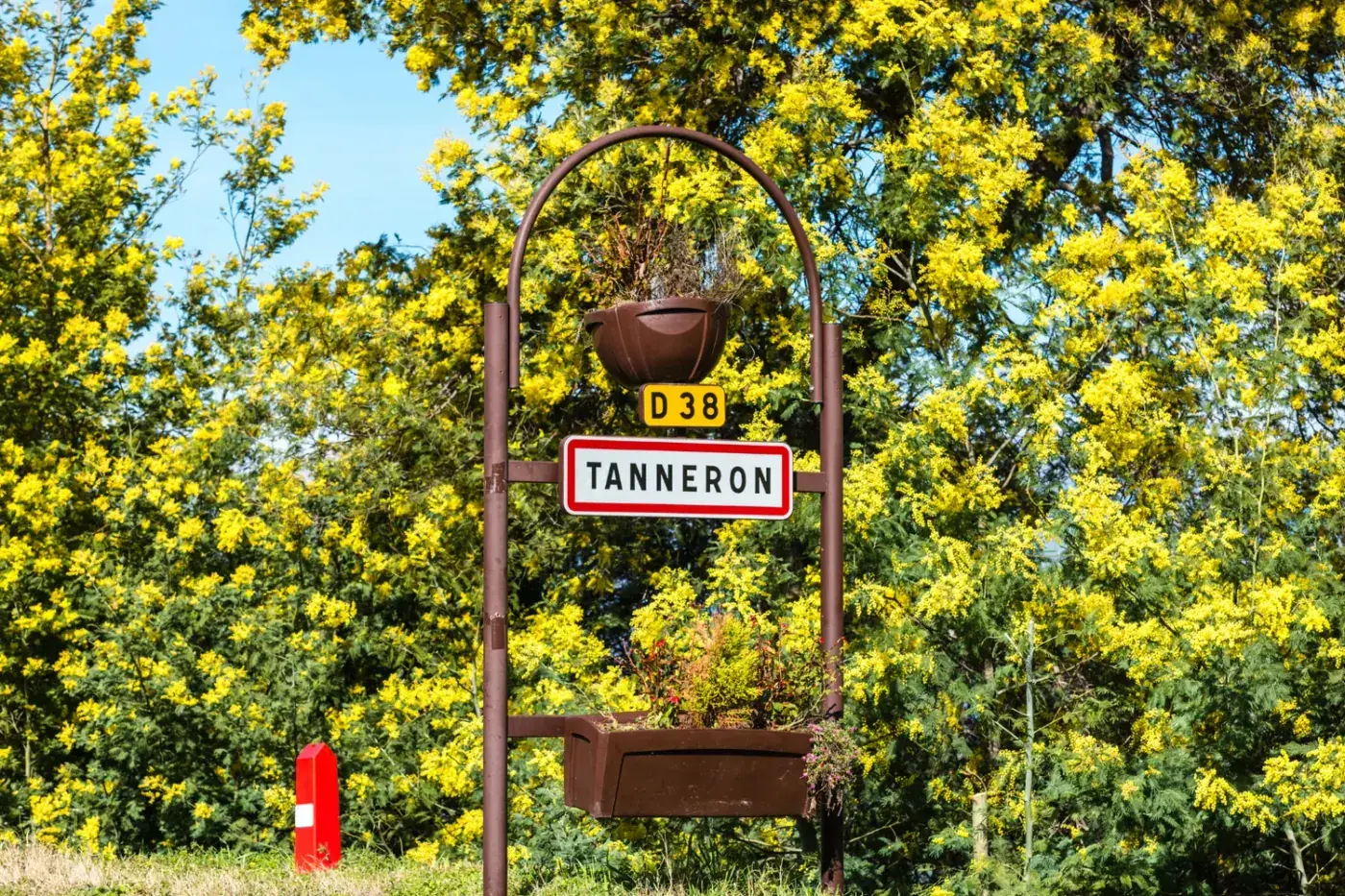 Tanneron