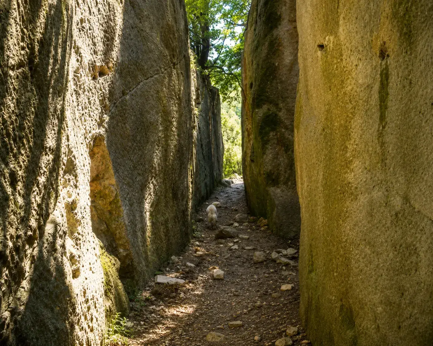La Roche Taillée